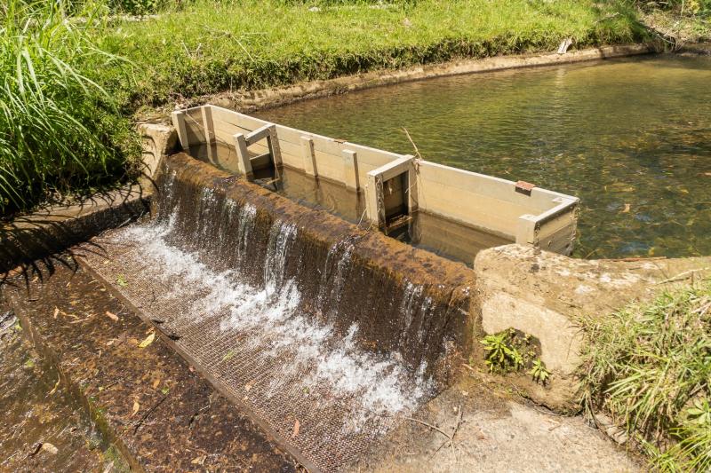 Por reducción de hasta el 40% en los caudales, Empresas Públicas de La Ceja insta a un uso racional del agua