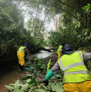 Cornare, Empresas Públicas de La Ceja y el Municipio adelantan acciones para proteger las fuentes hídricas