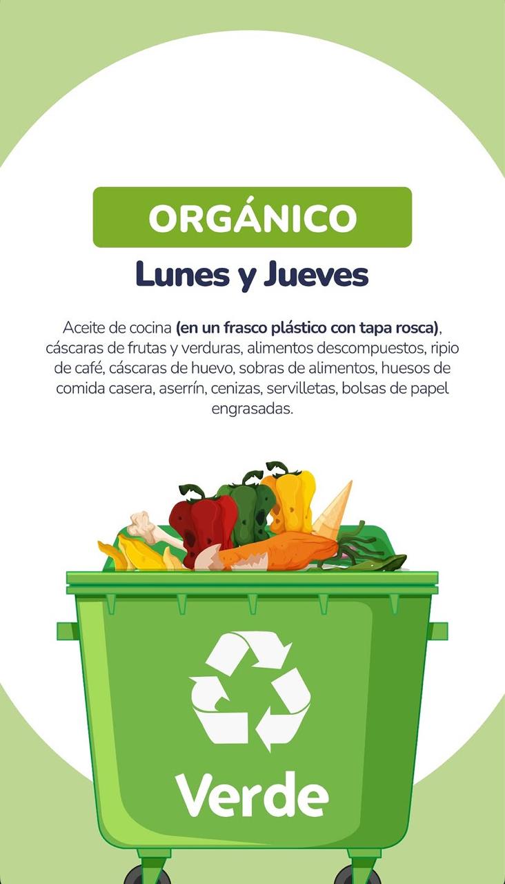 Orgánico